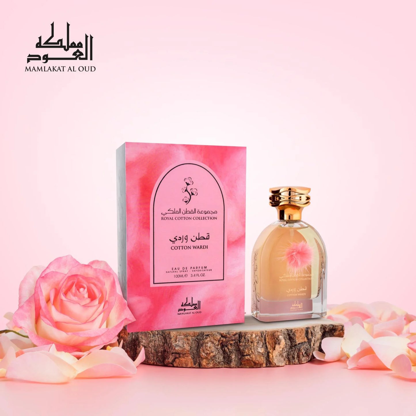 Cotton Wardi – Mamlakat al Oud